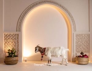 Old City Walls Adorned for Eid