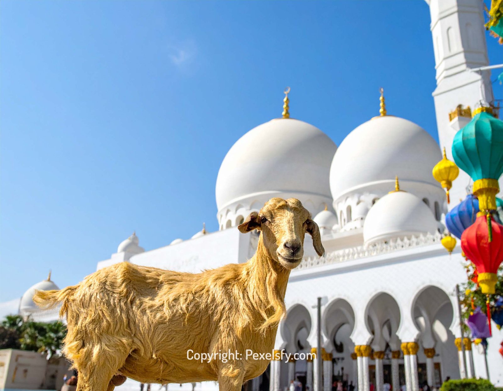 Prayers Echo from Mosque on Eid