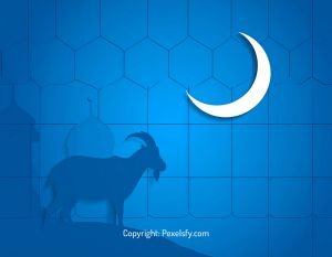 Old City Charm on Eid al-Adha