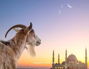 Sandy Streets Sparkle for Eid al-Adha