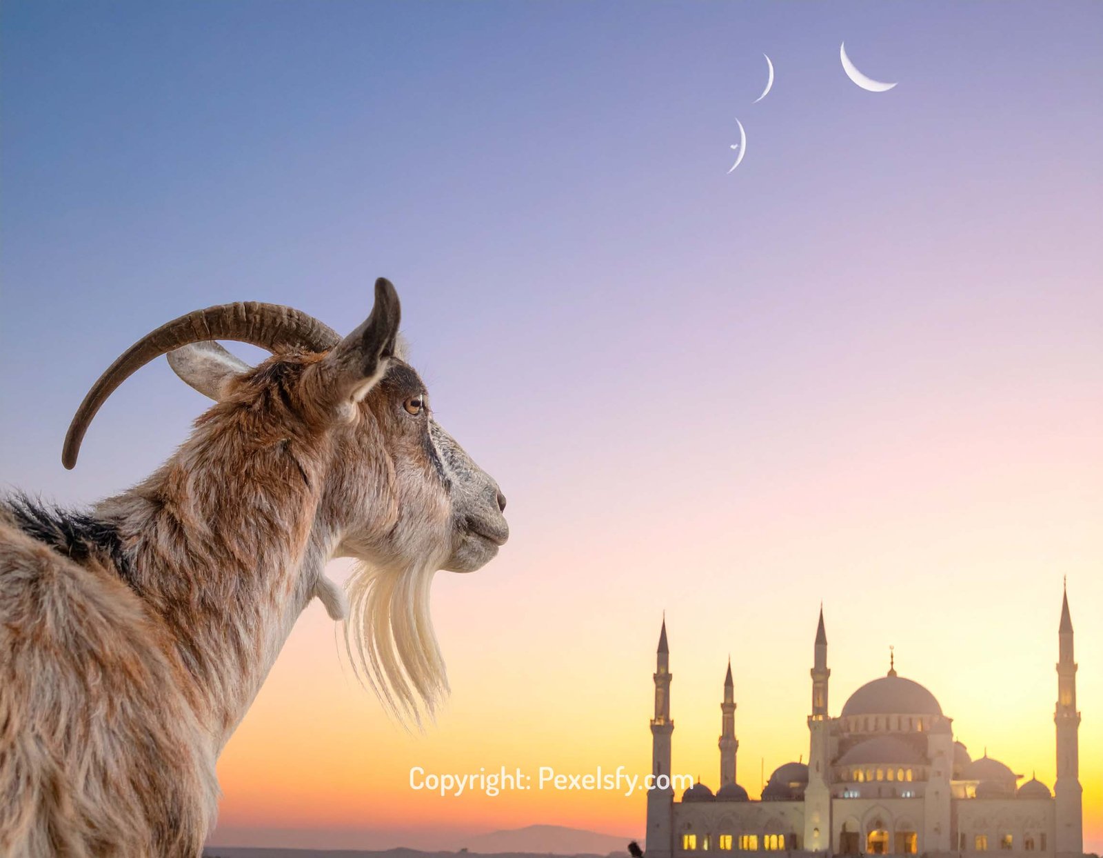 Sandy Streets Sparkle for Eid al-Adha