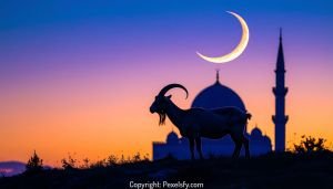 Cinematic Eid al-Adha Landscape with Mountains