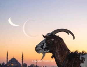 Peaceful Eid Morning with Mosque Silhouette
