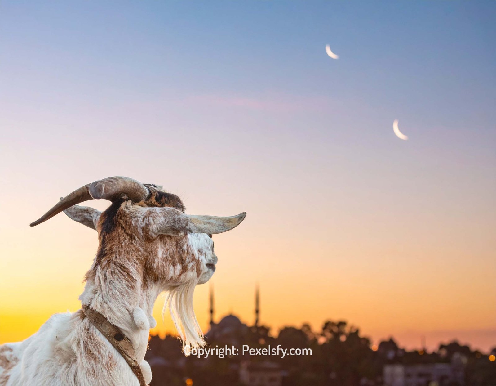 Village Mosque Lit for Eid Evening