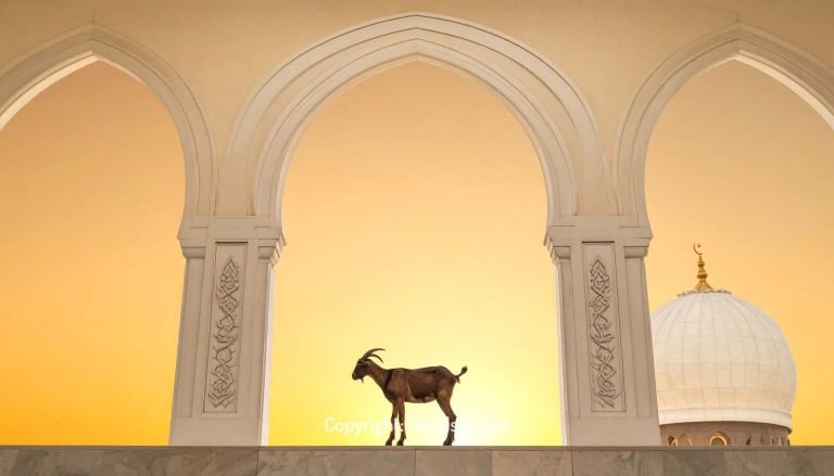 Cinematic Eid al-Adha Cityscape