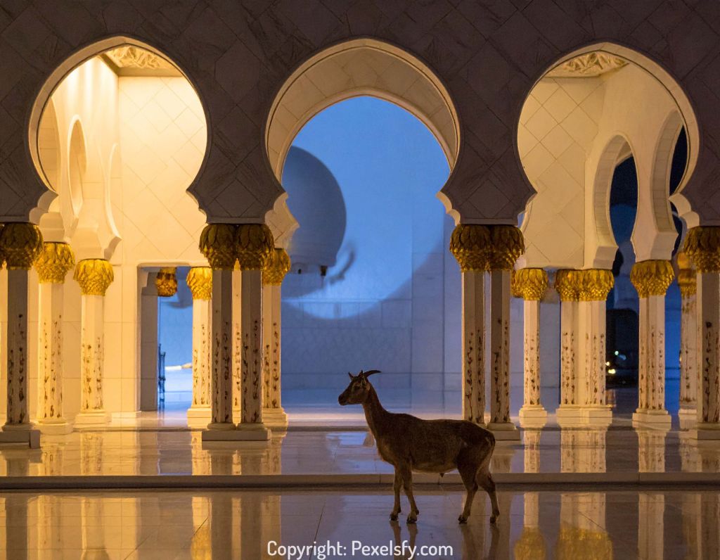 Traditional Eid al-Adha Village with Mosque