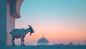 Families Sharing Gifts on Eid al-Adha