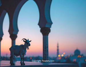 Spiritual Ambience of Eid al-Adha