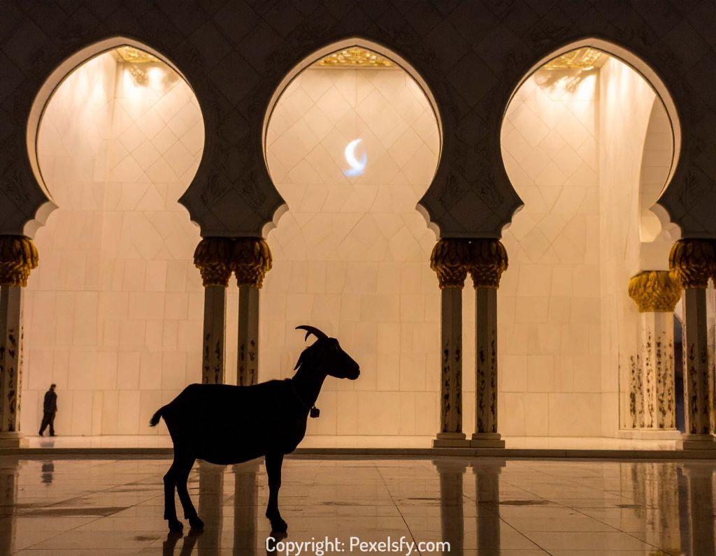 Eid al-Adha Sky Full of Lanterns