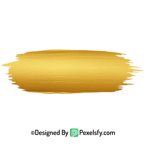 gold paint brush png frame detail transparent