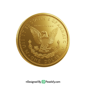 Golden Dollar Coin PNG Side View, transparent
