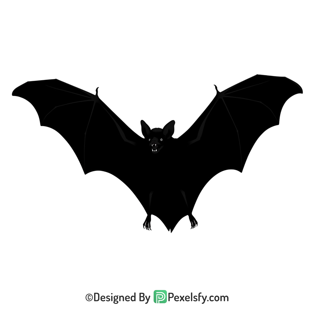 Bat Png Image 6