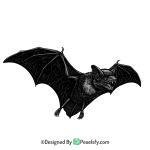 Bat Png Image 8