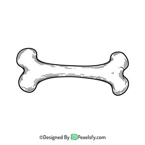 Bone Png Image 1