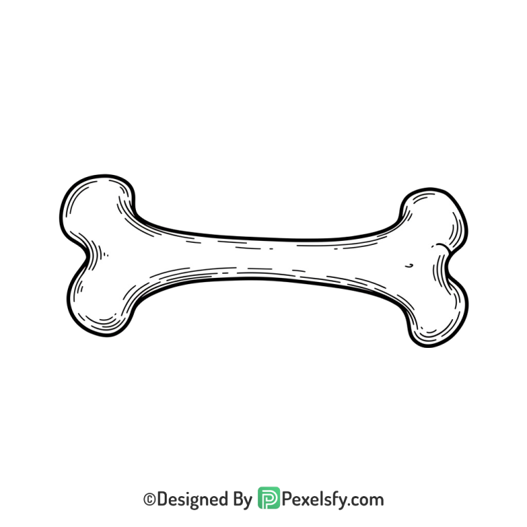 Bone Png Image 1