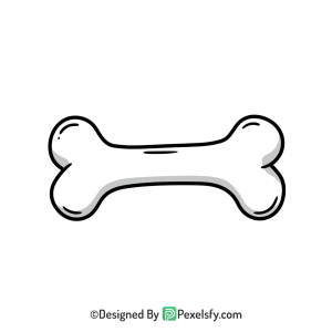 Bone Png Image 104