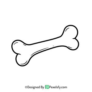 Bone Png Image 105