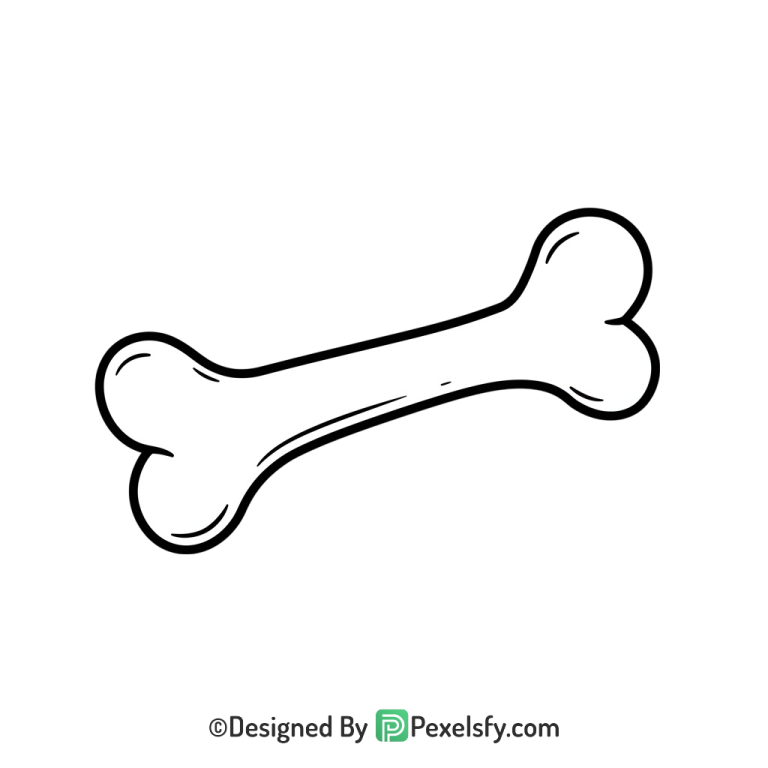 Bone Png Image 105