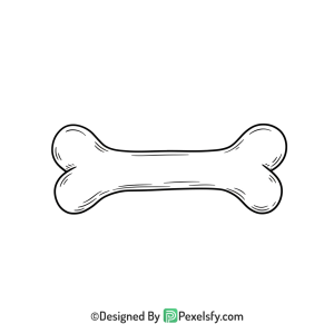 Bone Png Image 108