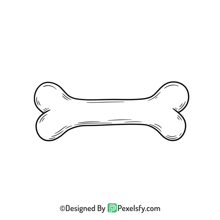 Bone Png Image 108
