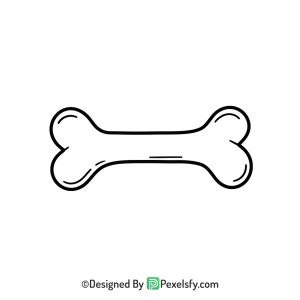 Bone Png Image 110