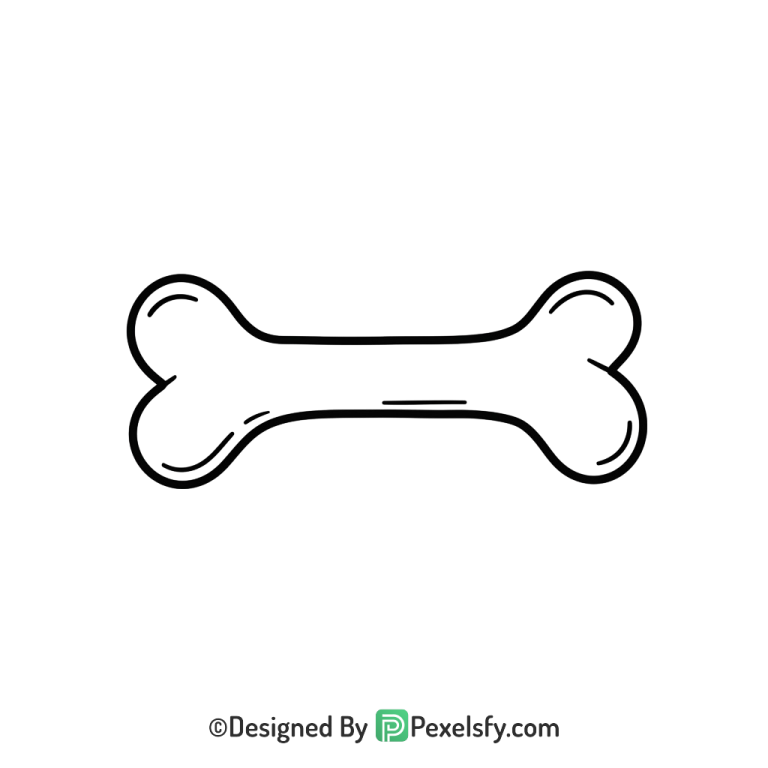 Bone Png Image 110