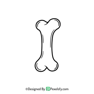 Bone Png Image 113