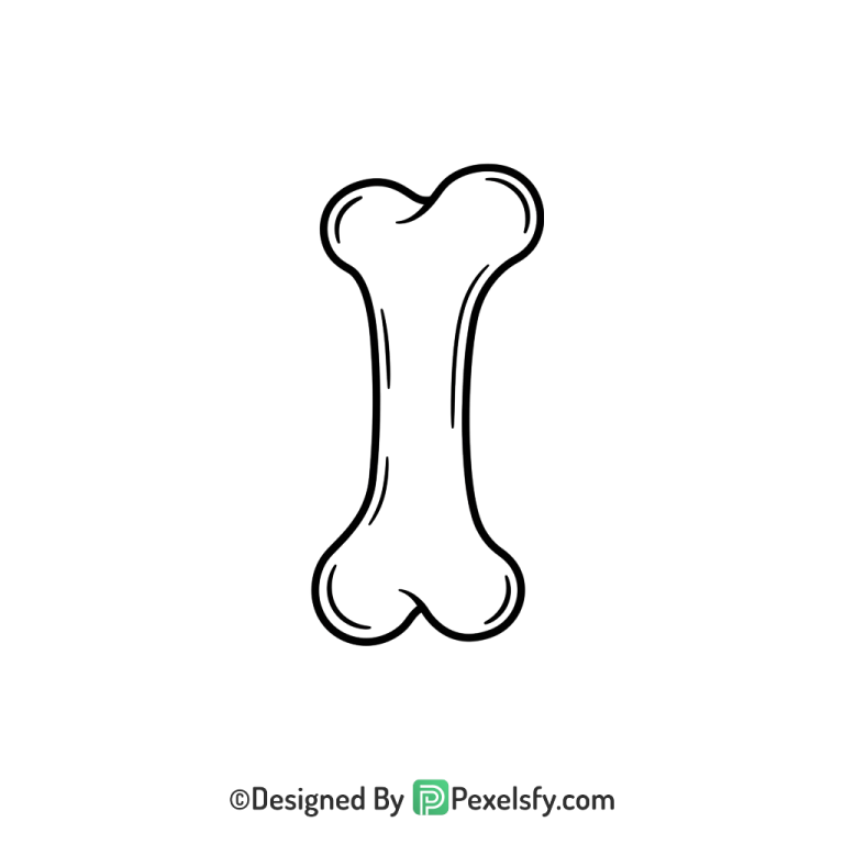 Bone Png Image 113