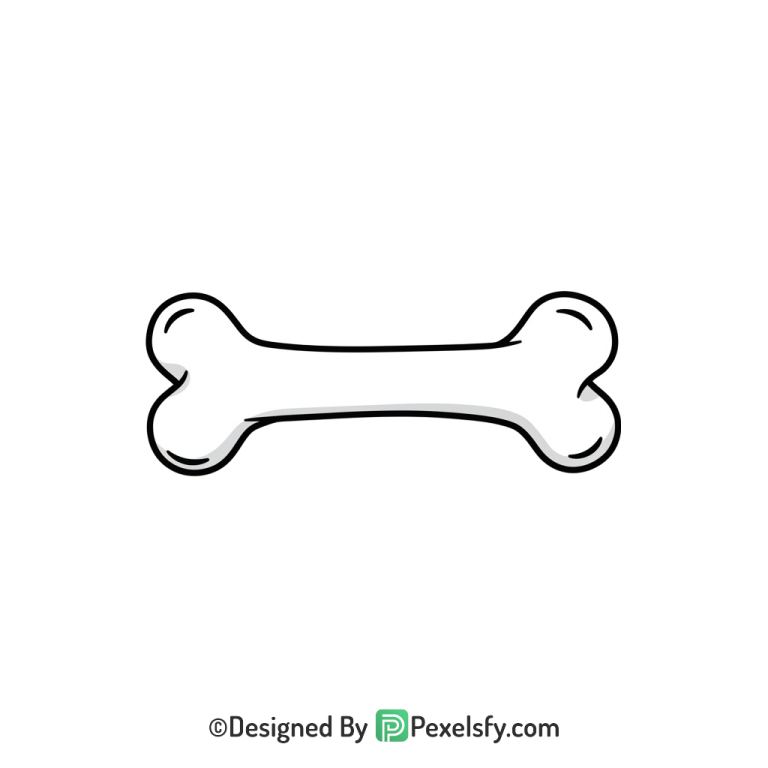 Bone Png Image 115