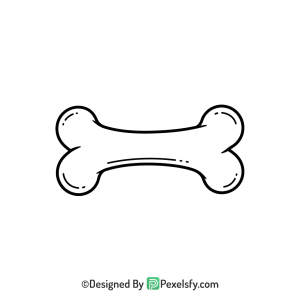 Bone Png Image 116