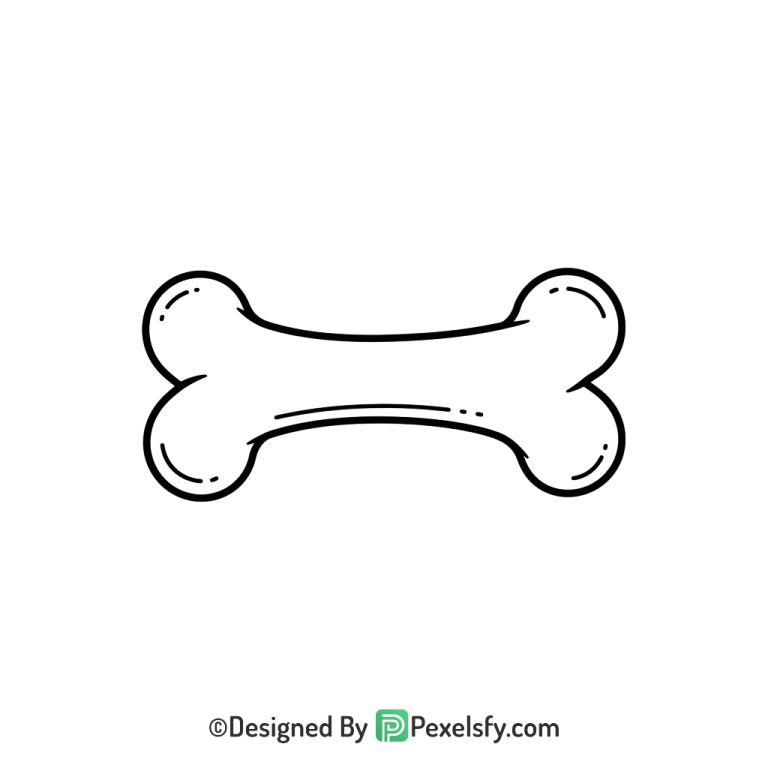 Bone Png Image 116