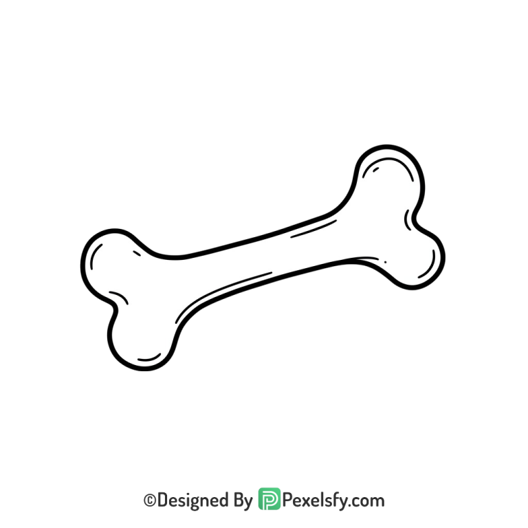 Bone Png Image 14