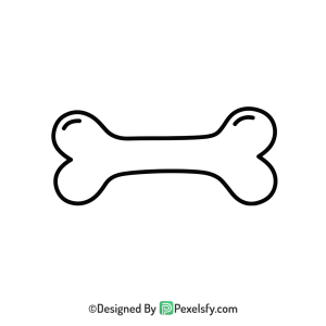 Bone Png Image 15