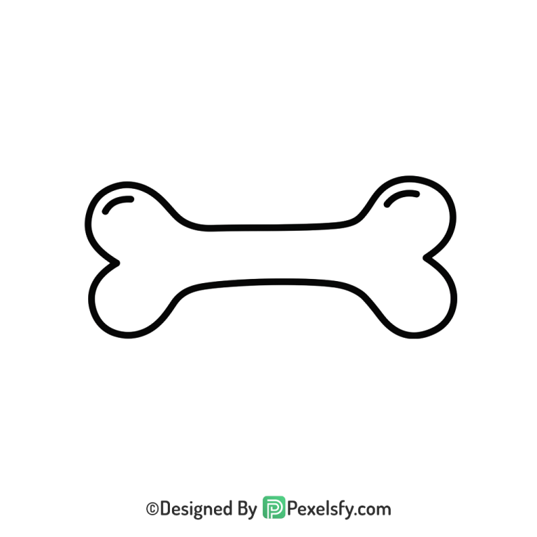 Bone Png Image 15