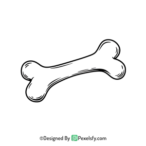 Bone Png Image 16