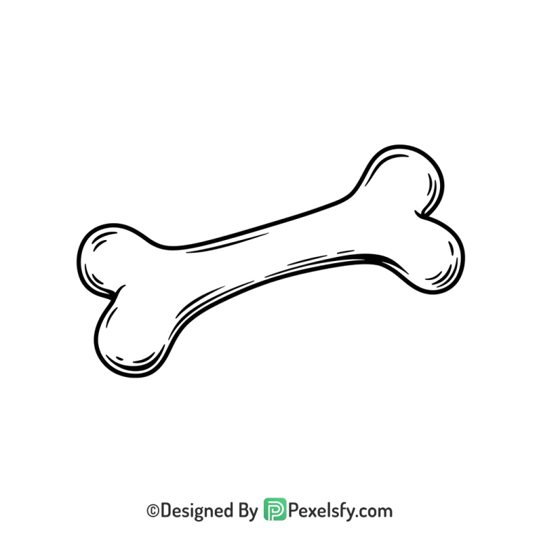 Bone Png Image 16