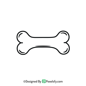Bone Png Image 17