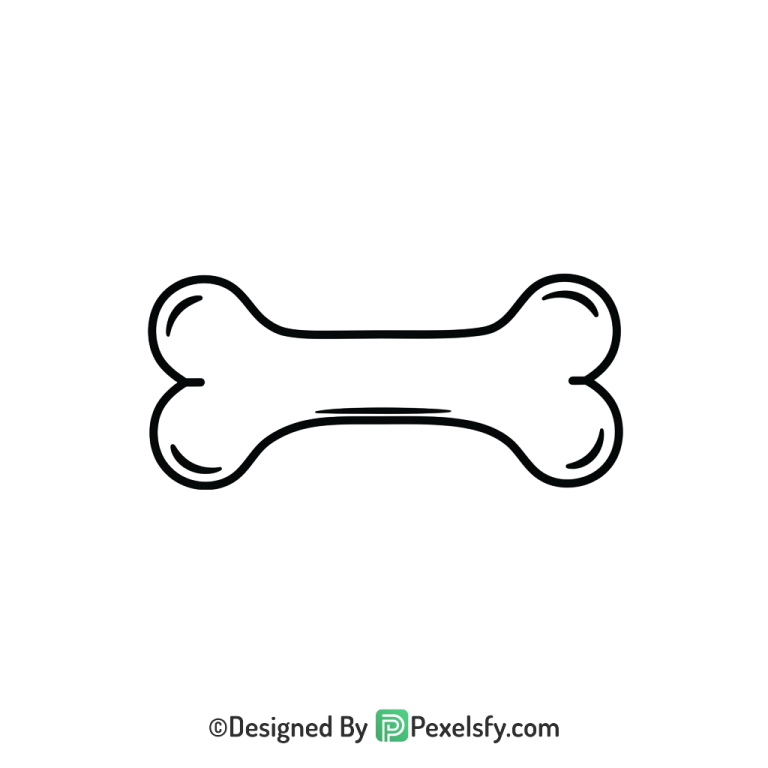 Bone Png Image 17