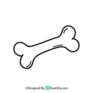 Bone Png Image 19