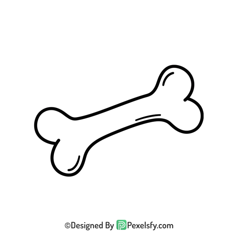 Bone Png Image 19