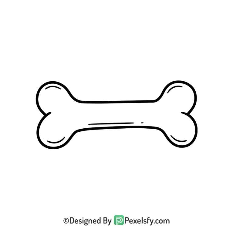 Bone Png Image 2