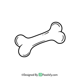 Bone Png Image 21