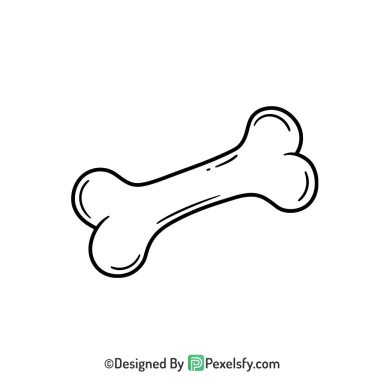 Bone Png Image 21