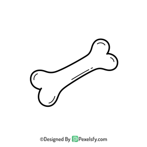 Bone Png Image 23
