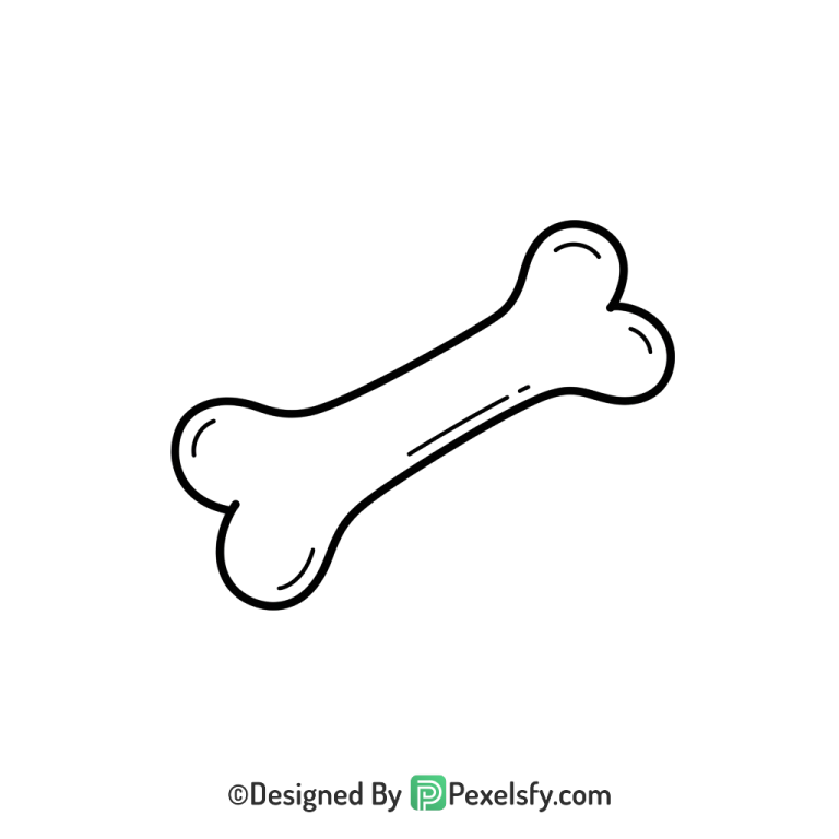 Bone Png Image 23