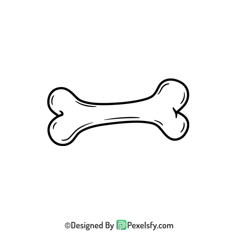 Bone Png Image 24