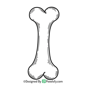 Bone Png Image 37