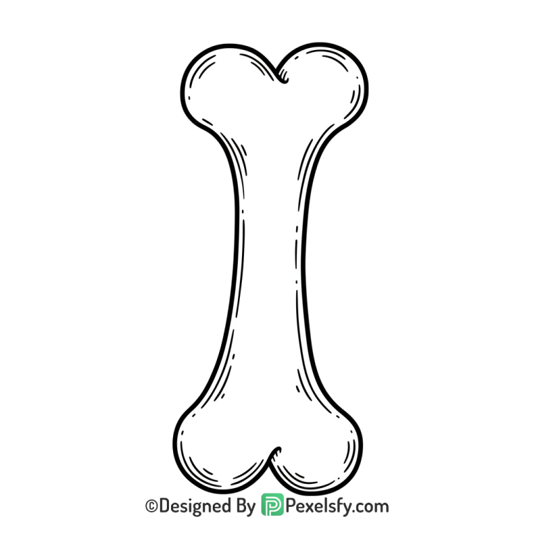 Bone Png Image 37