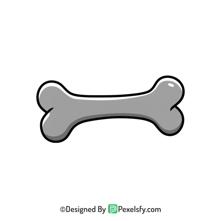 Bone Png Image 41