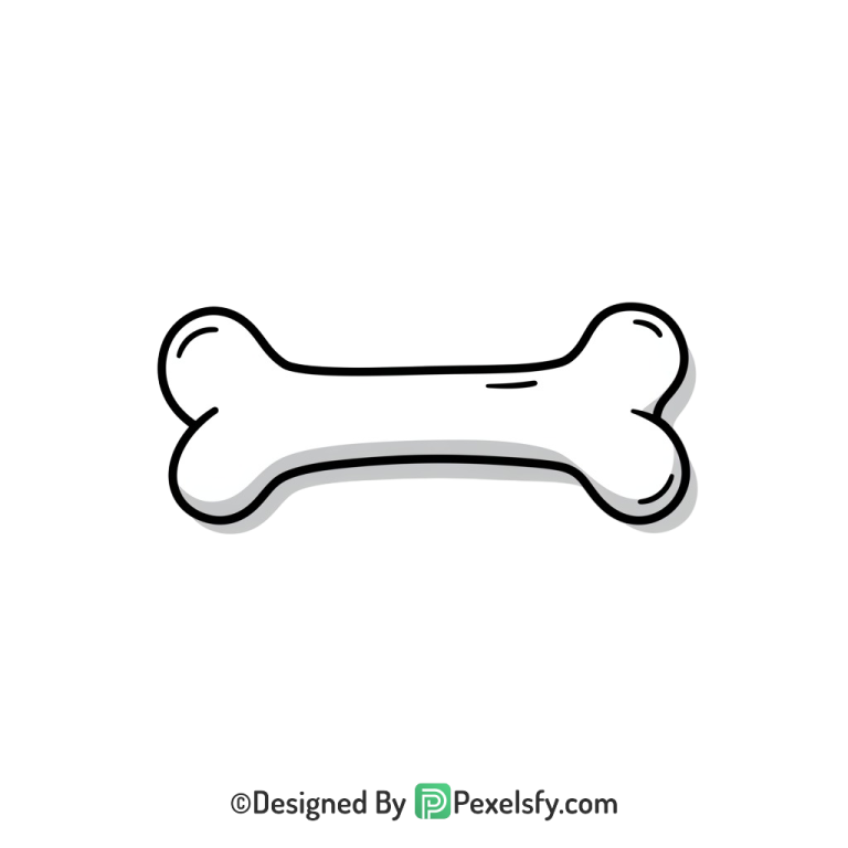 Bone Png Image 43